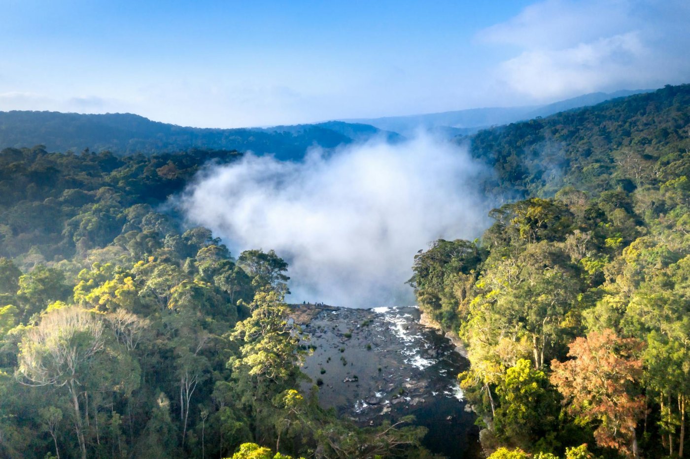Borneo Rainforest, Malaysia