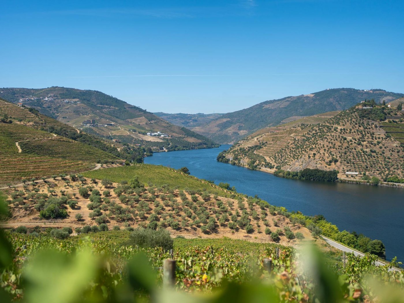 Douro Valley