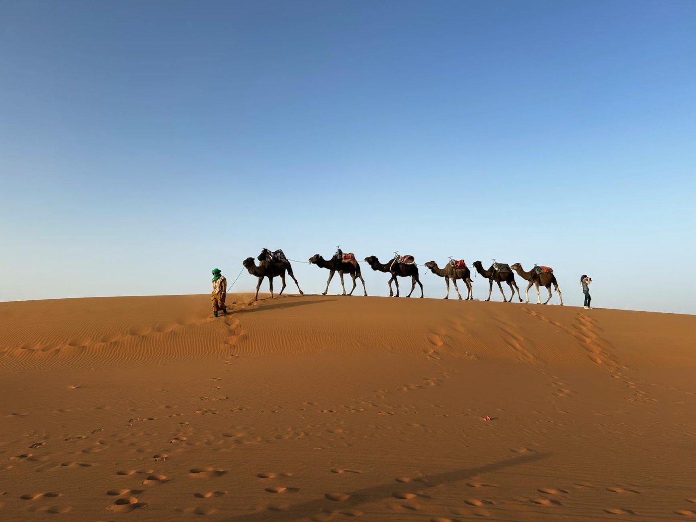 Sahara Trek, Morocco