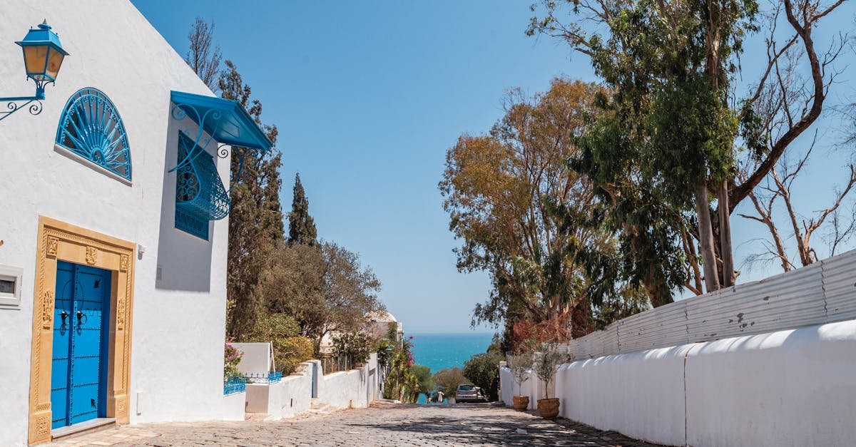 Sidi Bou Said