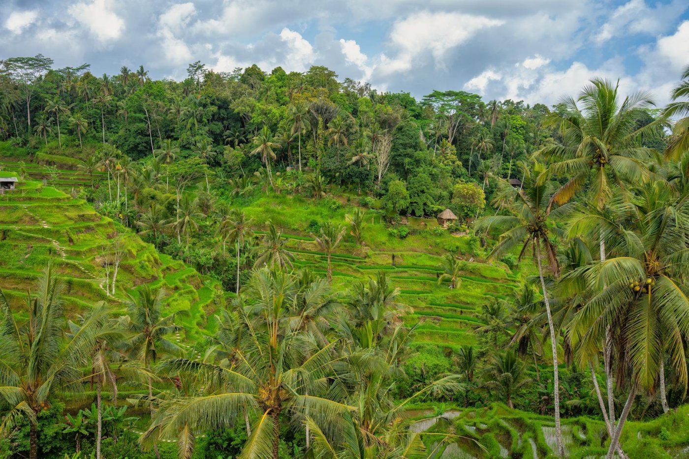 Ubud, Bali