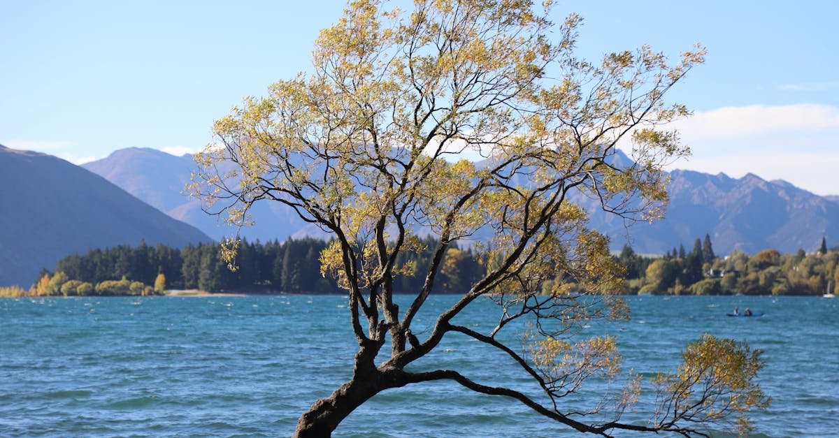 Wanaka, New Zealand